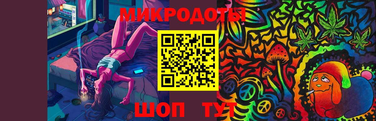 Псилоцибиновые грибы Psilocybe Жигулёвск