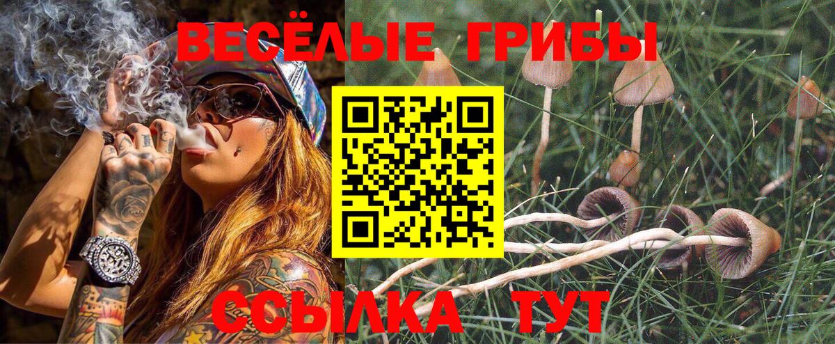 Меф кристаллы  ГАШИШ  Бошки Шишки  Жигулёвск  Вход с VPN 
