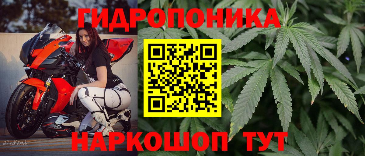 Бошки Шишки Amnesia Жигулёвск